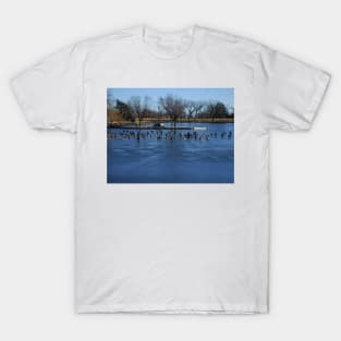 Canadian Geese  Resting on Blue Ice T-Shirt